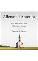 Alienated America