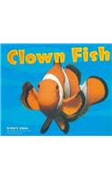 Storytown: Library Book Stry 08 Grade 2 Clown Fish