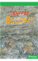 Storytown: Above Level Reader Teacher's Guide Grade 6 Trapped Below!