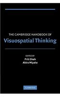 Cambridge Handbook of Visuospatial Thinking