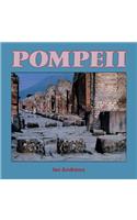 Pompeii: (Cambridge Introduction to World History)