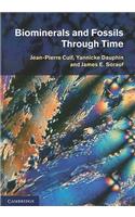 Biominerals and Fossils Through Time