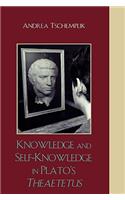 Knowledge and Self-Knowledge in Plato's Theaetetus