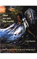 How We Saw the World