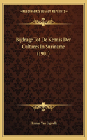 Bijdrage Tot De Kennis Der Cultures In Suriname (1901)