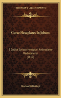 Curae Hexaplares In Jobum