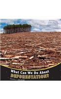 What Can We Do about Deforestation?