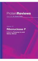Ribonuclease P