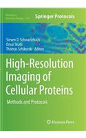 High-Resolution Imaging of Cellular Proteins