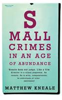 Small Crimes in an Age of Abundance