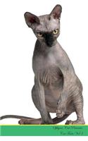Sphynx Cat Presents: Cat Facts Workbook. Sphynx Cat Presents Cat Facts Workbook with Self Therapy, Journalling, Productivity Tracker with Self Therapy, Journalling, Productivity Tracker Workbook. Includes: Space for Notes, to Do Lists, Brainstorms.