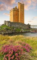 Heather at Kilcoe Castle Ireland: 150 Page Lined Notebook/Diary