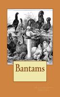 Bantams