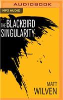 Blackbird Singularity