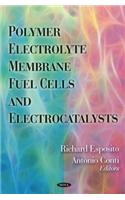 Polymer Electrolyte Membrane Fuel Cells & Electrocatalysts