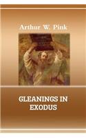 Gleanings in Exodus