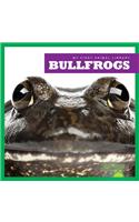 Bullfrogs