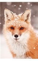 Furry Fox In The Snow 2020 Weekly Monthly Planner