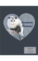 Awesome Possum!