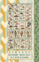 Vintage marine biology illustrations