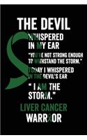 Liver Cancer Notebook