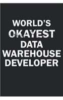 World's Okayest Data Warehouse Developer