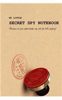 My Little Secret Spy Notebook (because no one understands my real job title: 120 page 6x9" wide ruled notebook