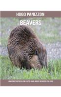 Beavers