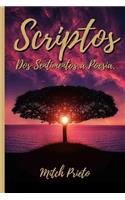 Scriptos: DOS Sentimentos