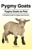 Pygmy Goats. Pygmy Goats as Pets