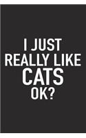 I Just Really Like Cats Ok?: A 6x9 Inch Matte Softcover Journal Notebook with 120 Blank Lined Pages and a Funny Sarcastic Cover Slogan