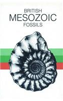 British Mesozoic Fossils