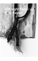 Rosy Keyser: Half-Light Periscope