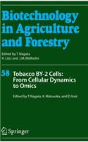 Tobacco By-2 Cells: From Cellular Dynamics to Omics