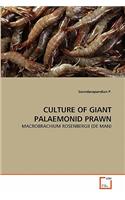 Culture of Giant Palaemonid Prawn