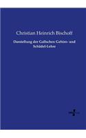 Darstellung der Gallschen Gehirn- und Schädel-Lehre