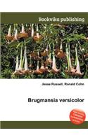 Brugmansia Versicolor: (English)
