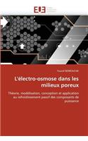 L'Electro-Osmose Dans Les Milieux Poreux
