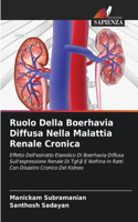 Ruolo Della Boerhavia Diffusa Nella Malattia Renale Cronica