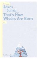 That's How Whales Are Born