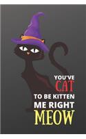 You've Cat to Be Kitten Me Right Meow