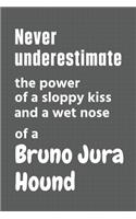 Never underestimate the power of a sloppy kiss and a wet nose of a Bruno Jura Hound