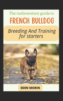The Rudimentary Guide To French Bulldog Breeding And Training For Starters
