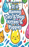 Coloring Book It is raining cats & dogs & kittens & puppies