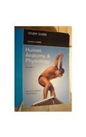 Study Guide for Human Anatomy and Physiology