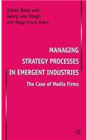 Managing Strategy Processes in Emergent Industries