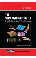 The Somatosensory System