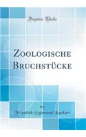 Zoologische Bruchstücke (Classic Reprint)