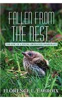 Fallen from the Nest: The Epic of a Young Orphaned Immigrant(English)