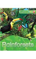 Rainforests
